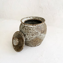 Load image into Gallery viewer, Colletti Lidded Vessel In Speckle