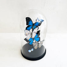 Load image into Gallery viewer, Butterfly Dome in Blues