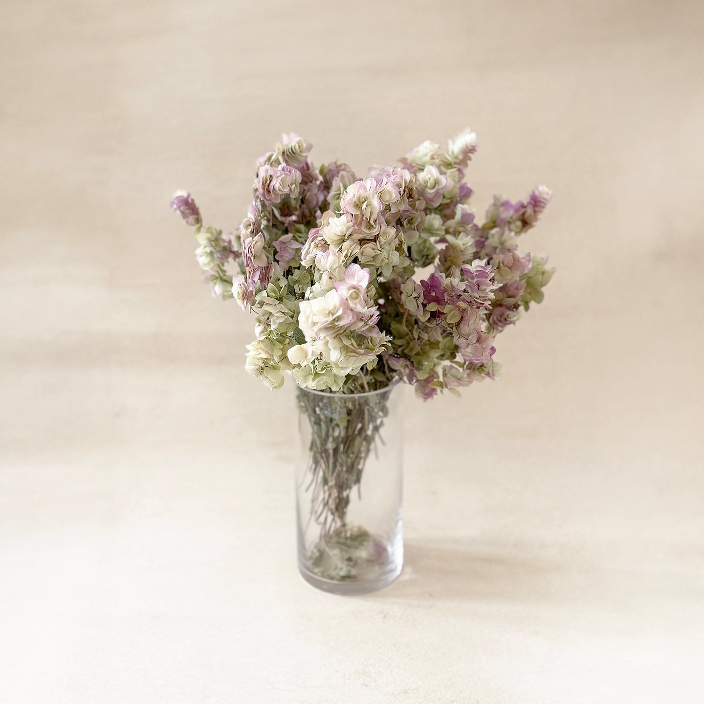 Kent Beauty Oregano Flowers