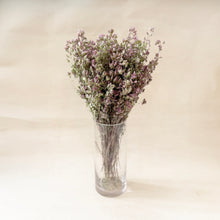 Load image into Gallery viewer, Santa Cruz Oregano Flowers