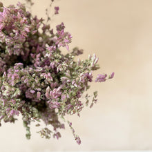 Load image into Gallery viewer, Santa Cruz Oregano Flowers