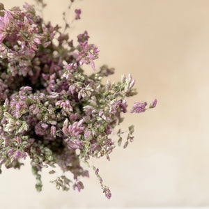 Santa Cruz Oregano Flowers