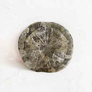 Pyrite Sun