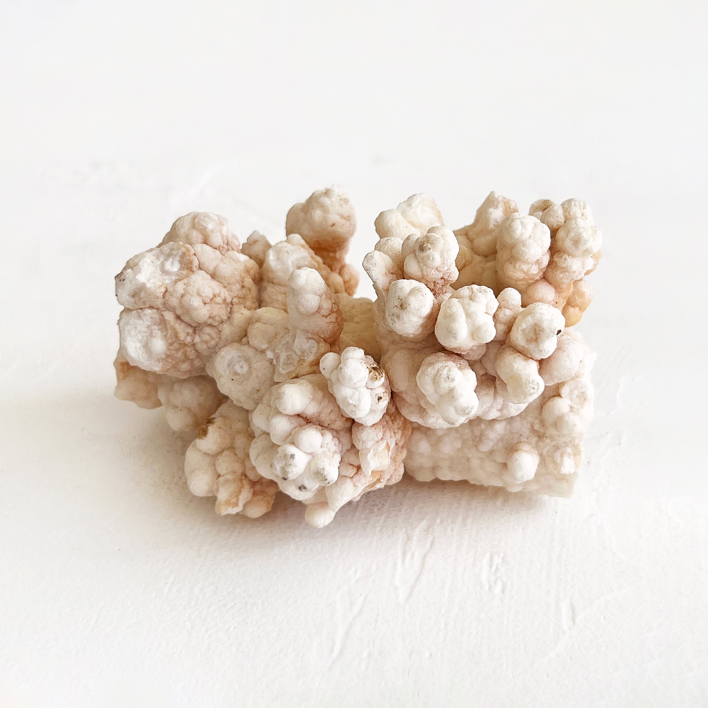 Vintage Aragonite