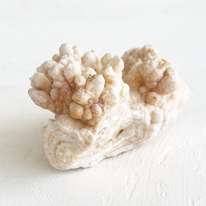 Vintage Aragonite