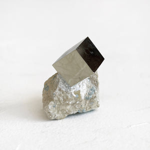 Cubic Pyrite on Matrix