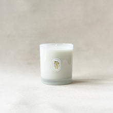 Load image into Gallery viewer, Forest of Glass Candle TESTER - WHOLESALE ONLY