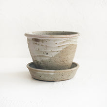 Load image into Gallery viewer, Colletti Ceramic Planter