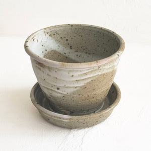 Colletti Ceramic Planter