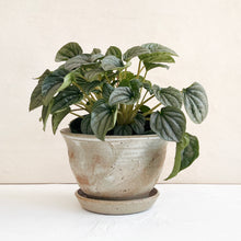 Load image into Gallery viewer, Ceramic Planter
