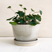 Load image into Gallery viewer, Ceramic Planter