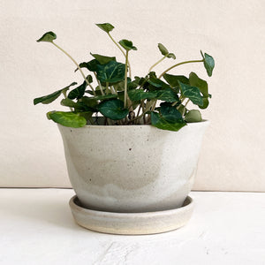 Ceramic Planter