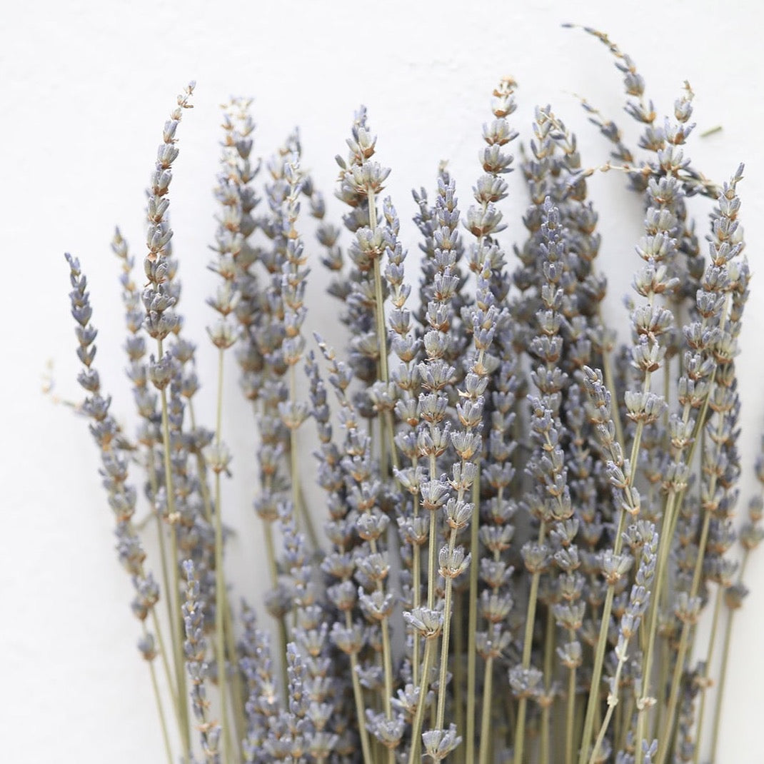 Dried Lavender Bundle